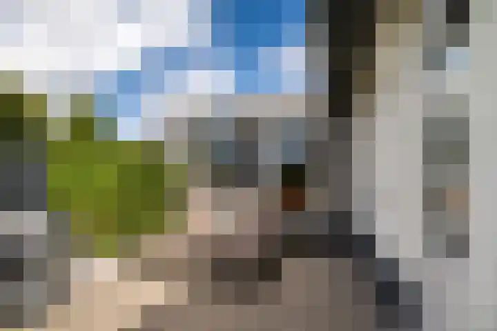 Montforterweg 12 a Linne thumbnail 40