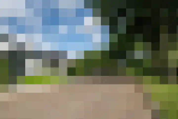 Montforterweg 12 a Linne thumbnail 52
