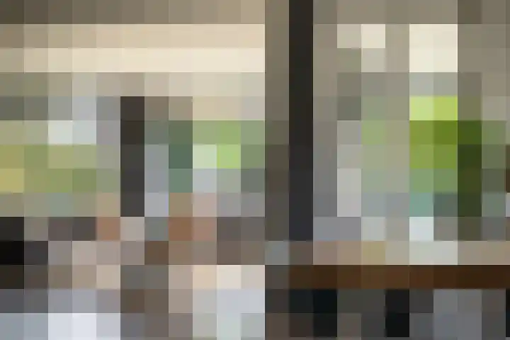 Montforterweg 12 a Linne thumbnail 6