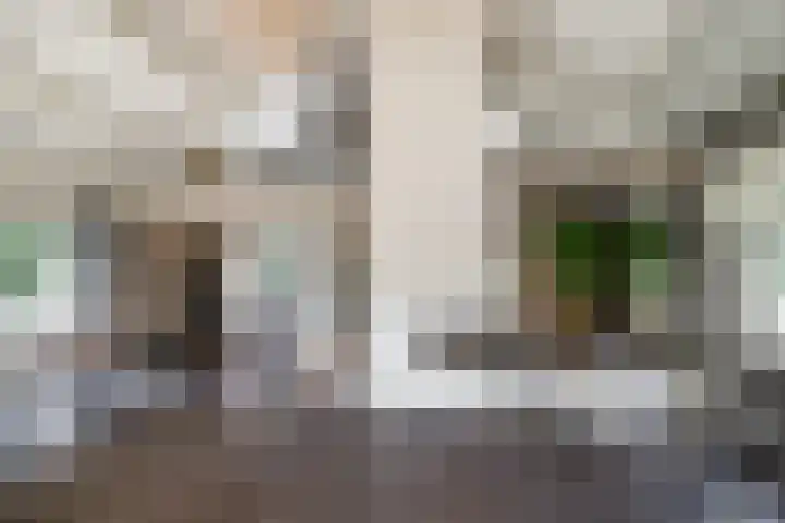 Montforterweg 12 a Linne thumbnail 7