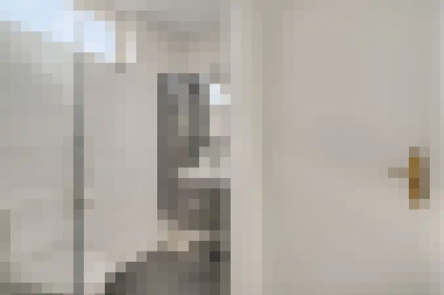 Montfortlaan 1 d Meerssen thumbnail 19