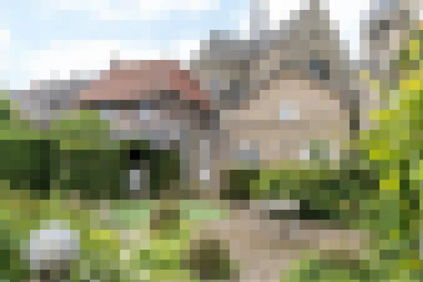 Montfortstraat 7 Schimmert thumbnail 30
