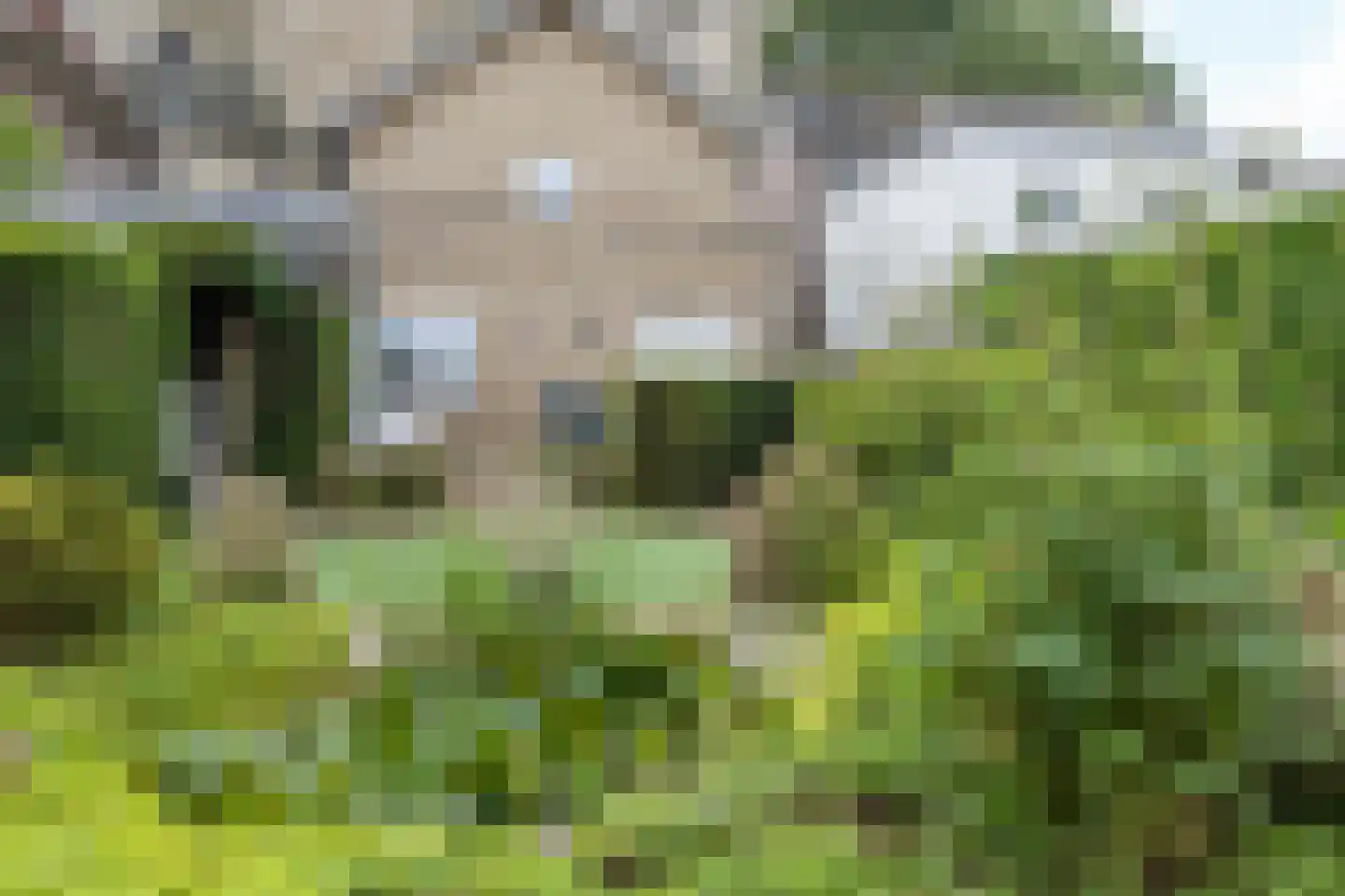 Montfortstraat 7 Schimmert thumbnail 33