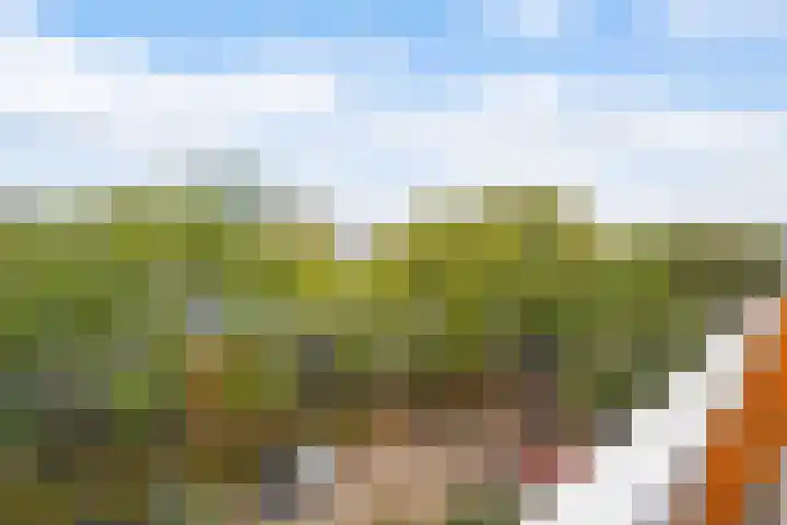 Montgomerylaan 116 Delft thumbnail 27