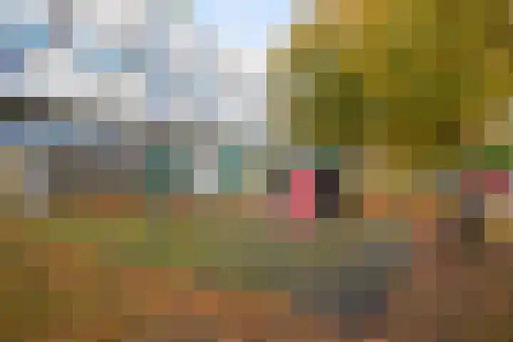 Montgomerylaan 116 Delft thumbnail 38
