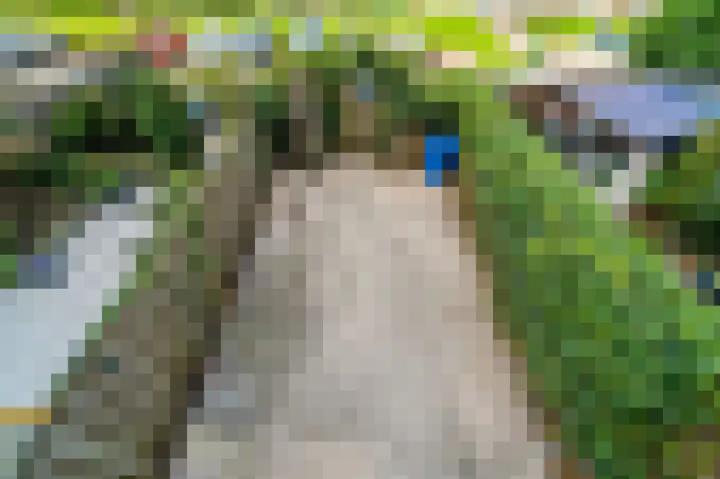 Montgomerylaan 132 Delft thumbnail 22