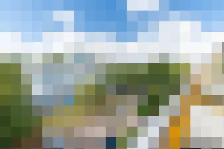 Montgomerylaan 190 Delft thumbnail 21