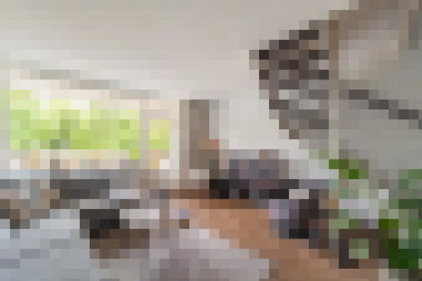 Montgomerylaan 200 Delft thumbnail 15