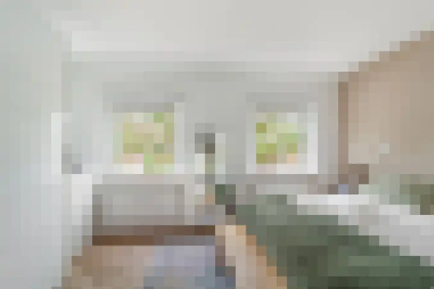 Montgomerylaan 200 Delft thumbnail 22