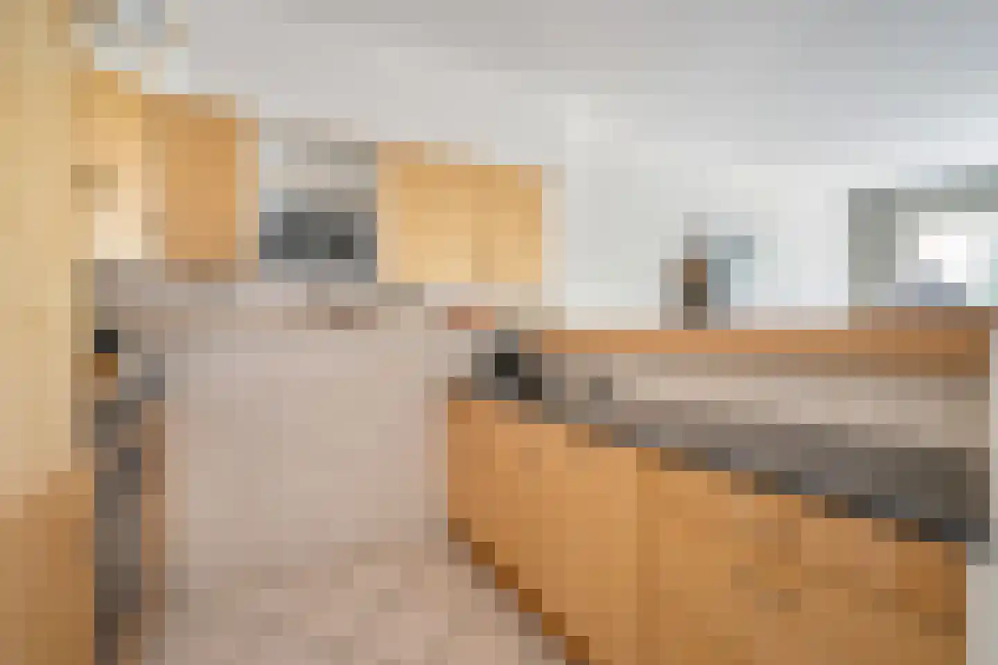 Montgomerylaan 208 Delft thumbnail 15
