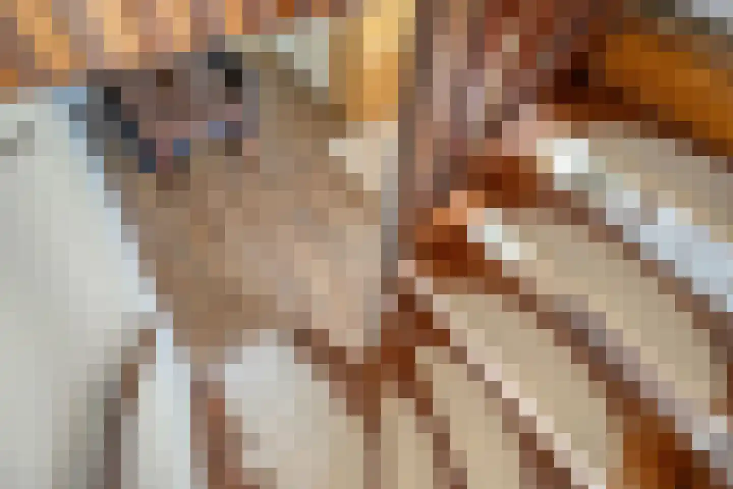Montgomerylaan 208 Delft thumbnail 23