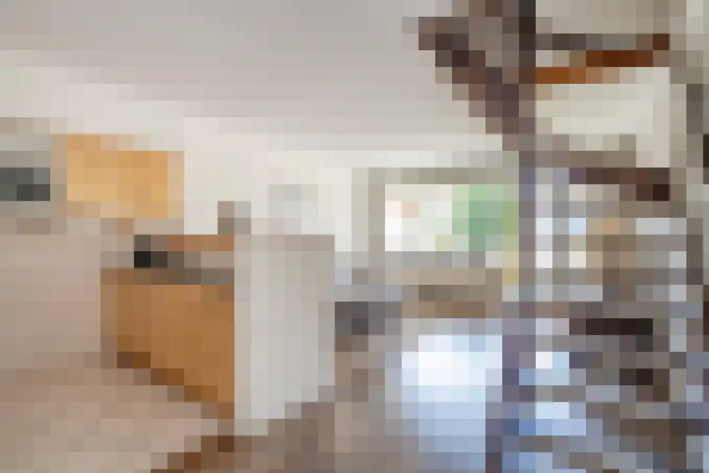 Montgomerylaan 208 Delft thumbnail 7