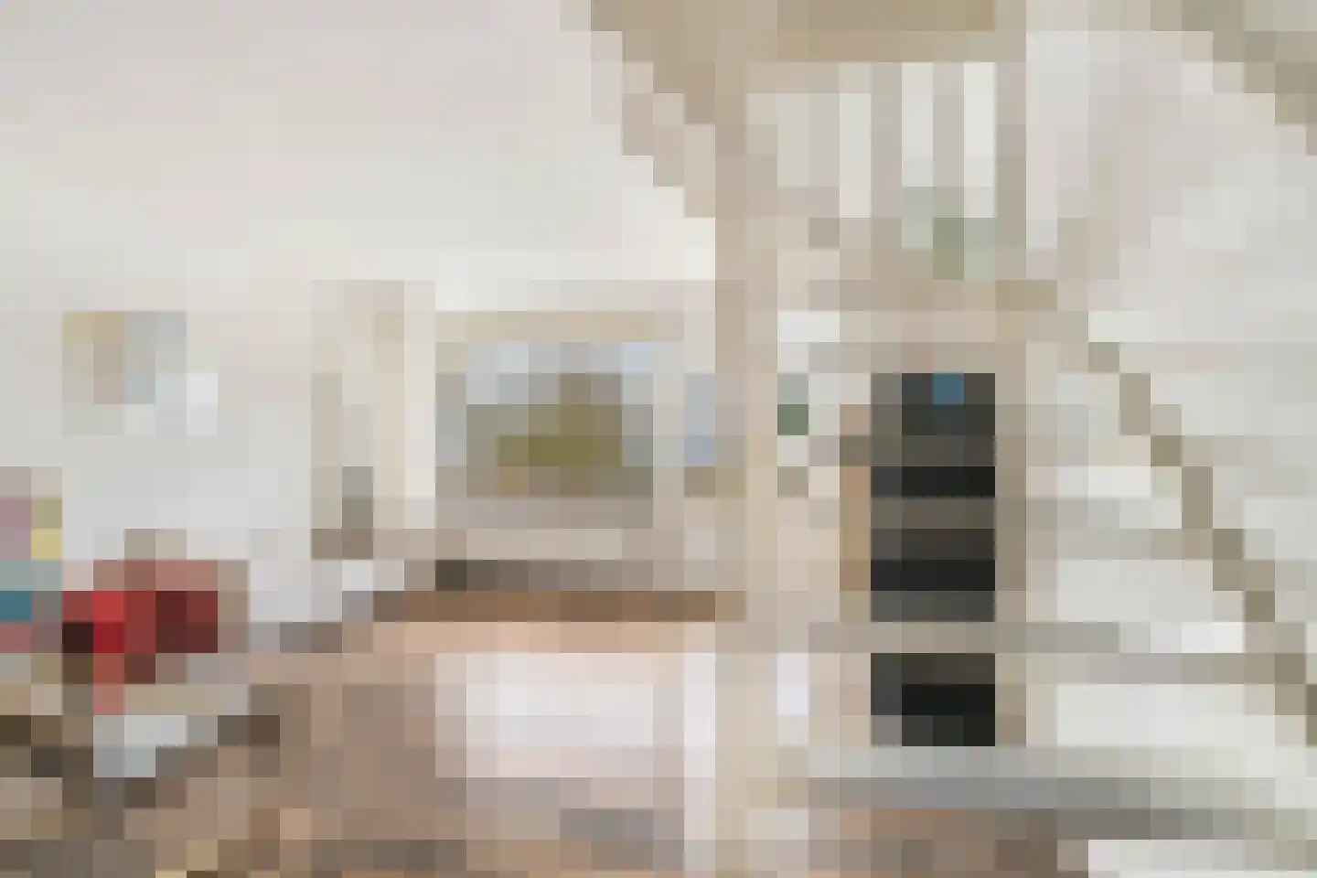 Montgomerylaan 238 Delft thumbnail 14