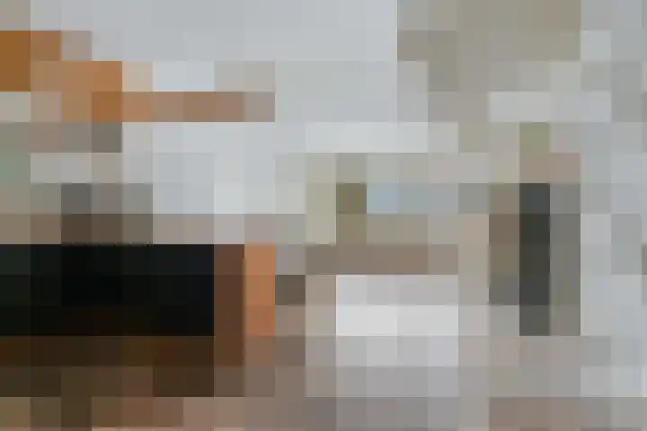 Montgomerylaan 238 Delft thumbnail 15