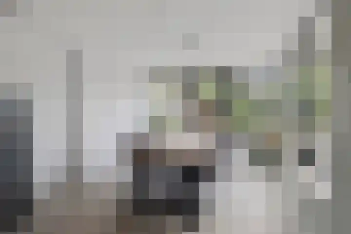 Montgomerylaan 3 Weurt thumbnail 14