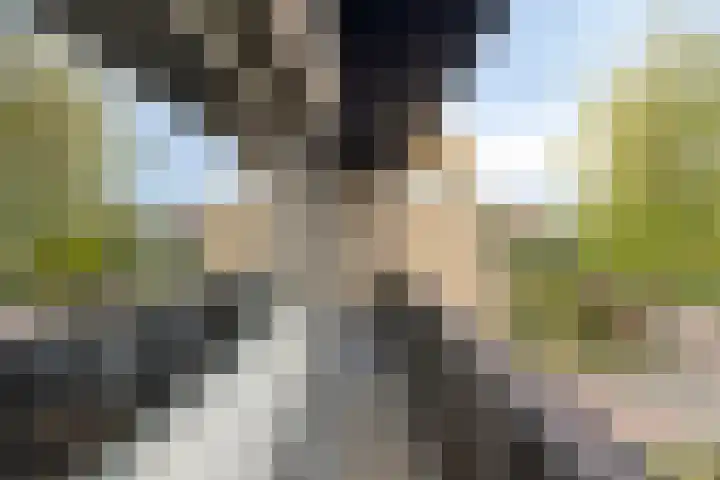 Montgomerylaan 3 Weurt thumbnail 29
