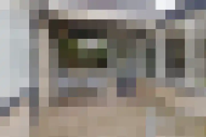 Montgomerylaan 3 Weurt thumbnail 38