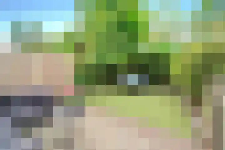 Montgomerylaan 42 Delft thumbnail 19