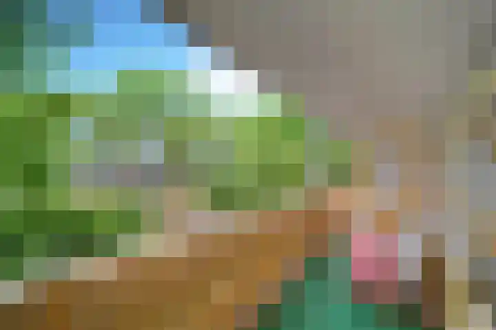 Montgomerylaan 42 Delft thumbnail 25