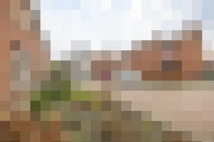 Montgomerystraat 12 Venray thumbnail 26