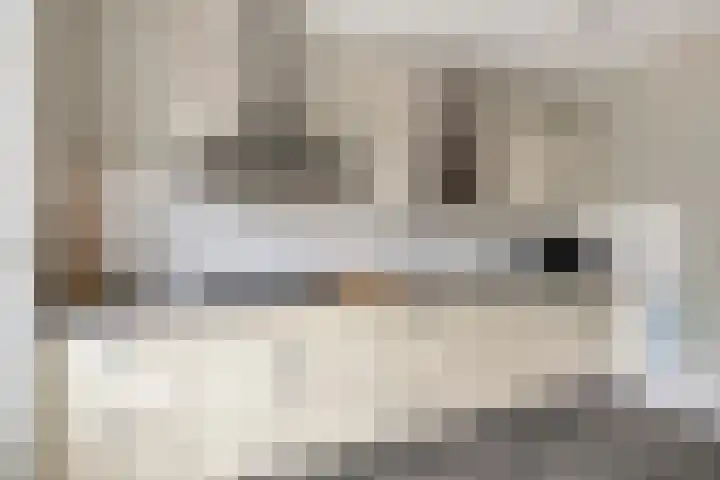 Montgomerystraat 17 Dongen thumbnail 21