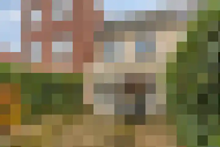 Montgomerystraat 17 Dongen thumbnail 40