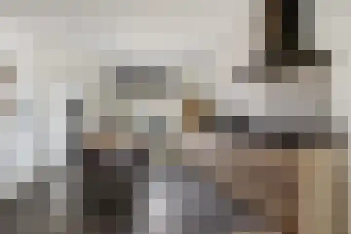 Montgomerystraat 2 Huijbergen thumbnail 6