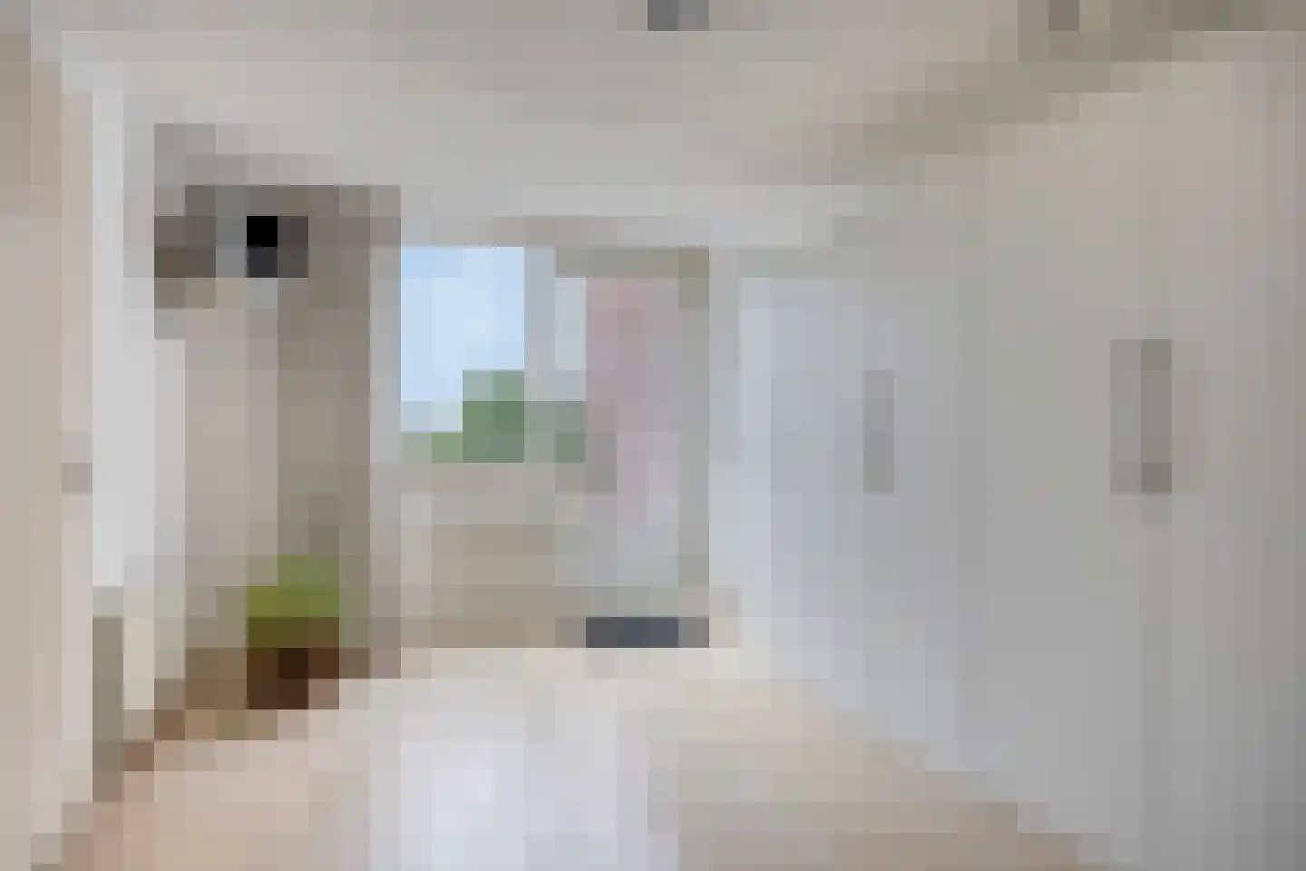Montgomerystraat 23 Dongen thumbnail 25