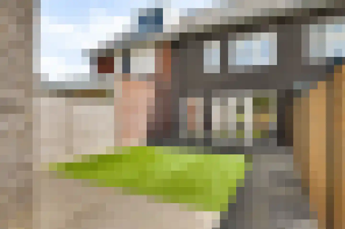 Montgomerystraat 27 Nederweert thumbnail 22