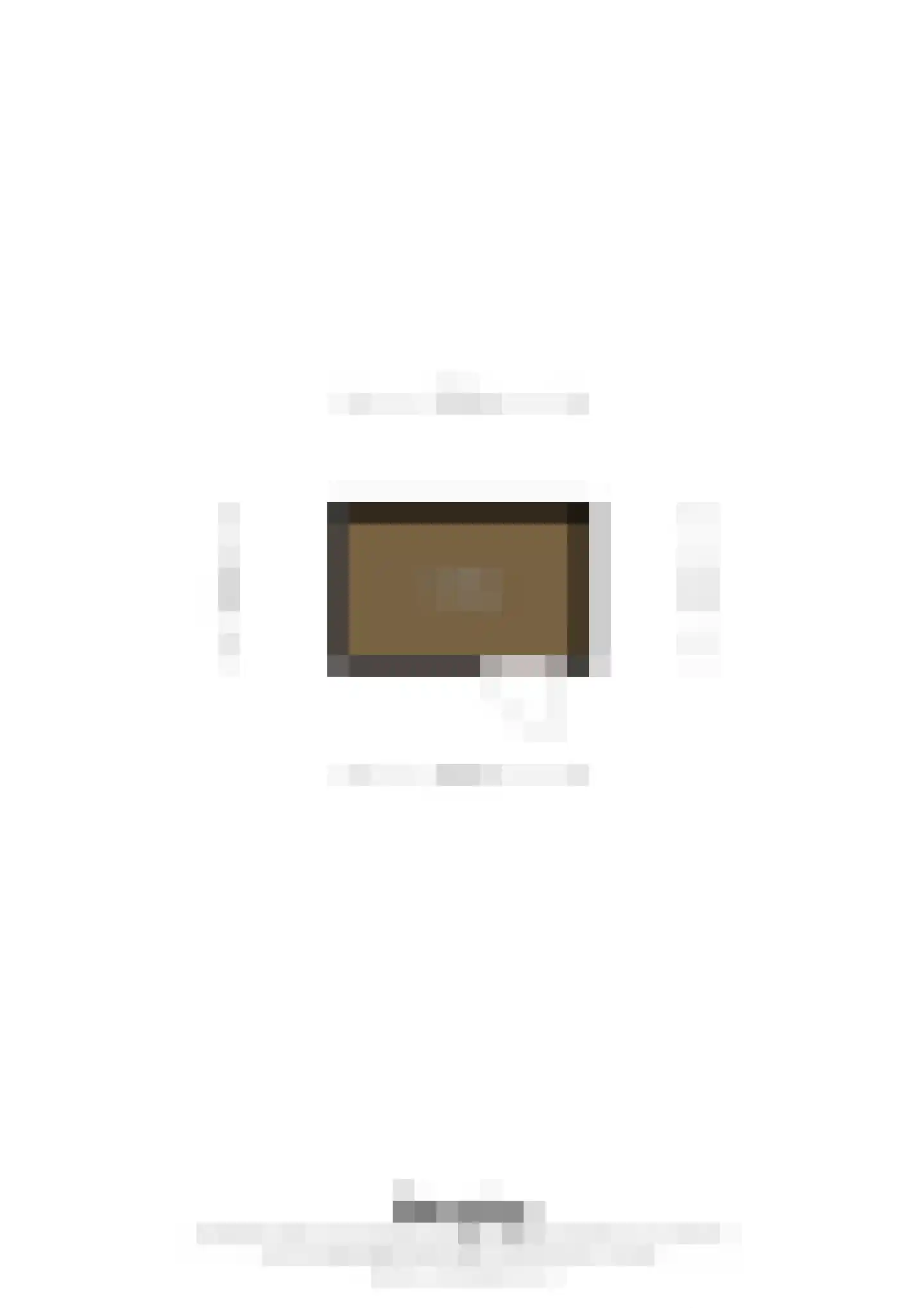 Montgomerystraat 27 Nederweert thumbnail 41