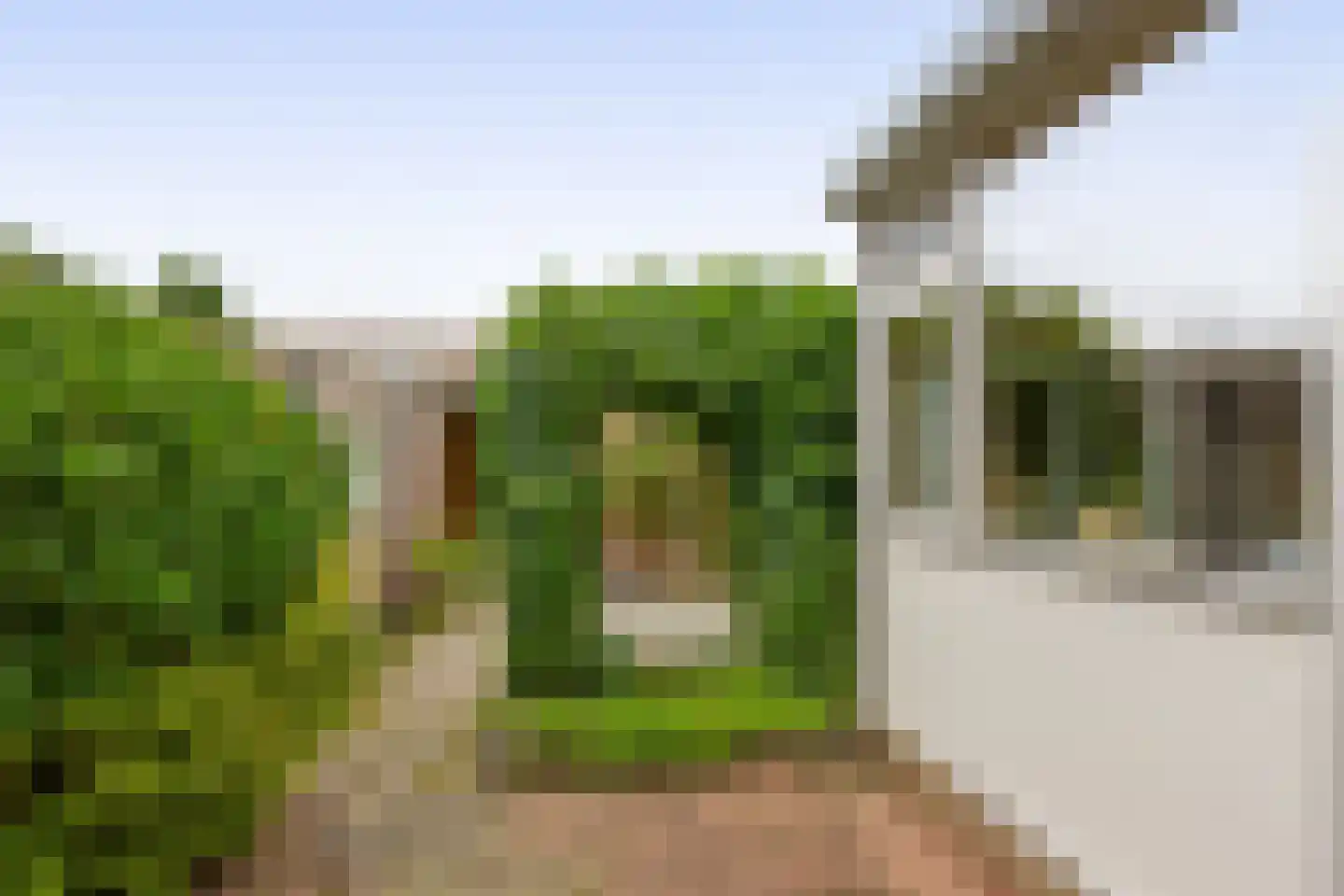 Montignyplein 5 Berkel en Rodenrijs thumbnail 17
