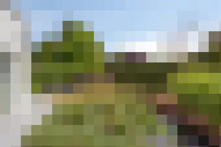 Montjoiestraat 4 Munstergeleen thumbnail 57
