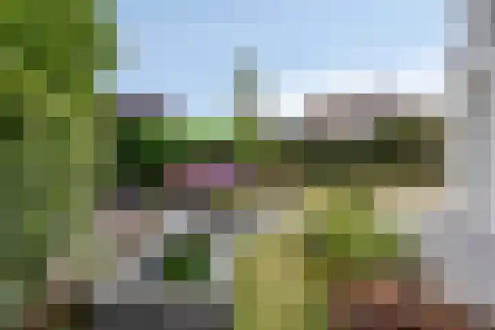 Montjoiestraat 4 Munstergeleen thumbnail 59