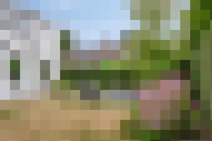 Montjoiestraat 4 Munstergeleen thumbnail 62