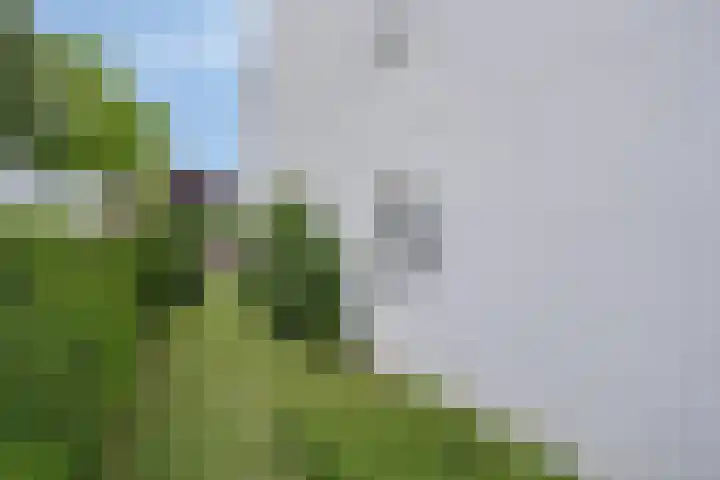 Montjoiestraat 4 Munstergeleen thumbnail 66