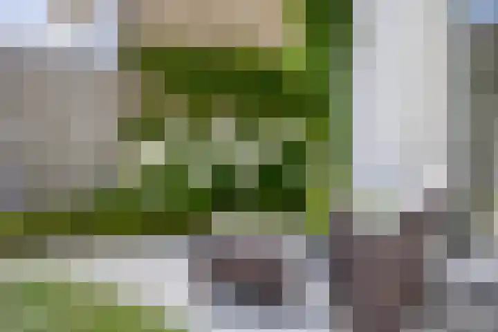 Montjoiestraat 4 Munstergeleen thumbnail 69
