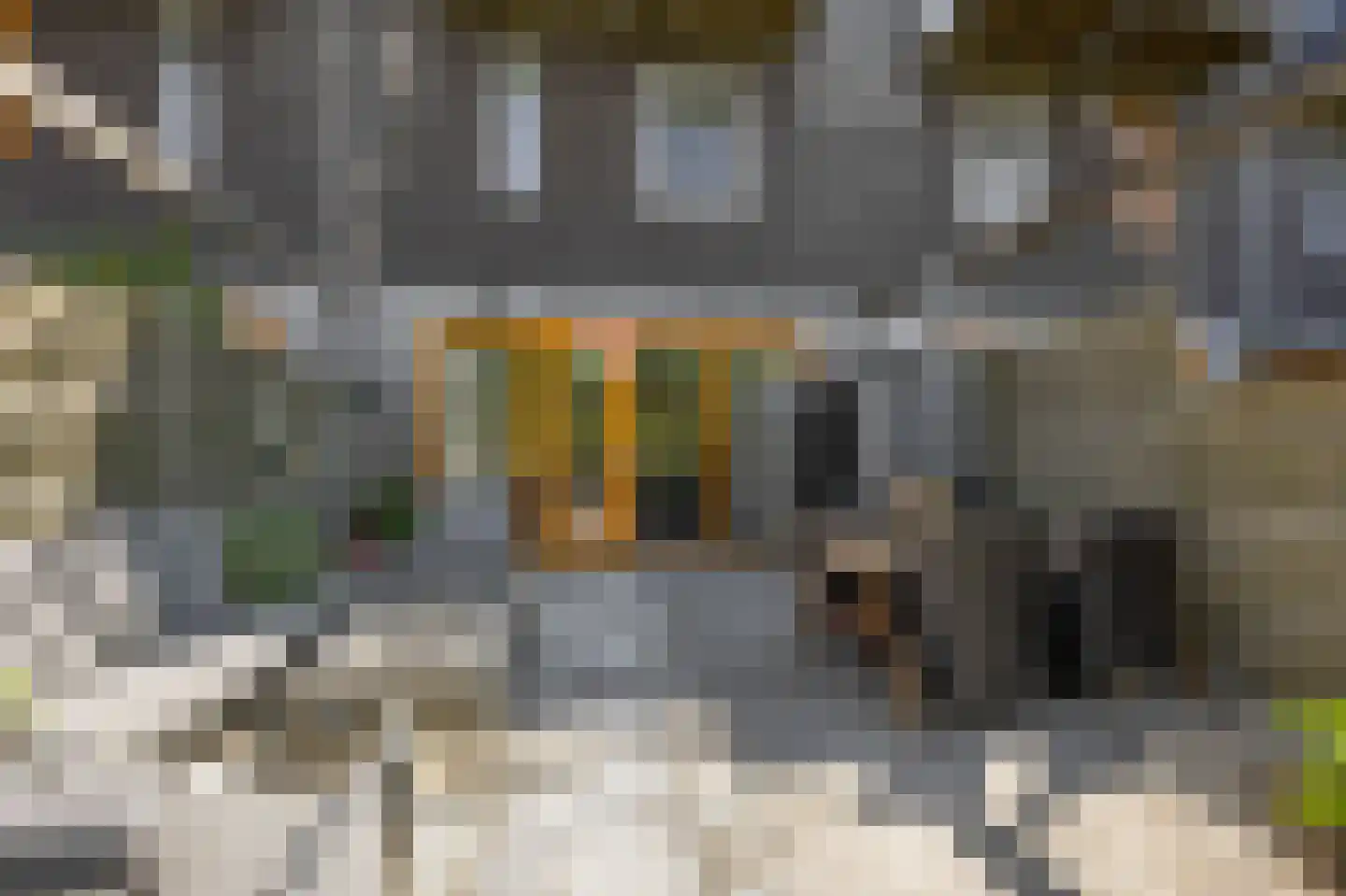 Montreallaan 122 Nieuw-Vennep thumbnail 16