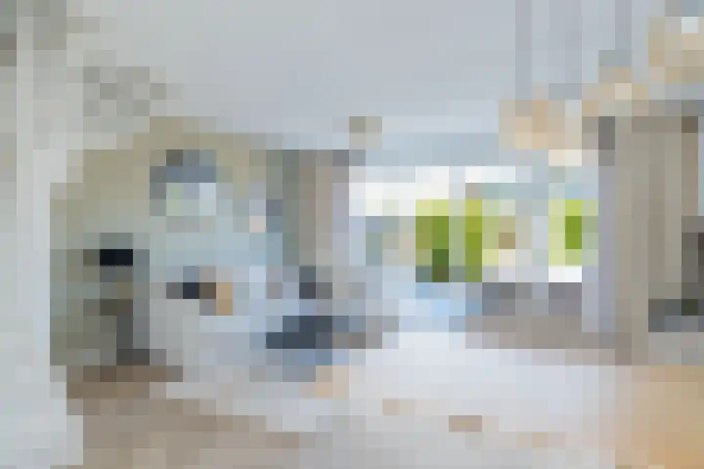 Montreallaan 4 Nieuw-Vennep thumbnail 14