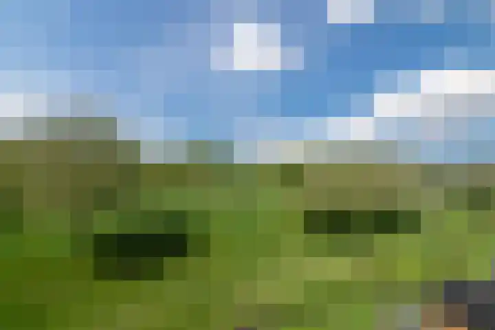 Montreallaan 84 Nieuw-Vennep thumbnail 34