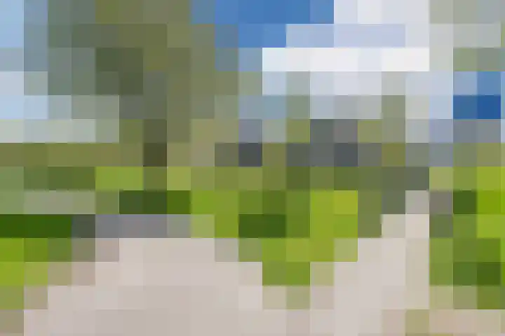 Montreallaan 84 Nieuw-Vennep thumbnail 44