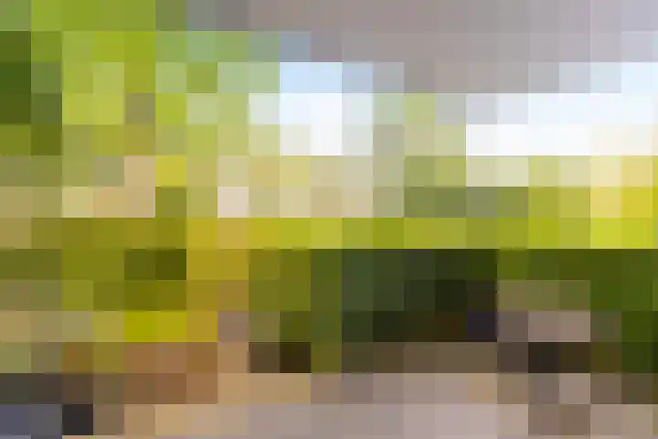 Monumentenweg 1 B Hoog-Keppel thumbnail 4