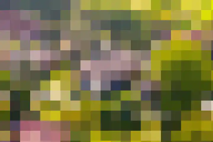 Monumentenweg 1 B Hoog-Keppel thumbnail 5