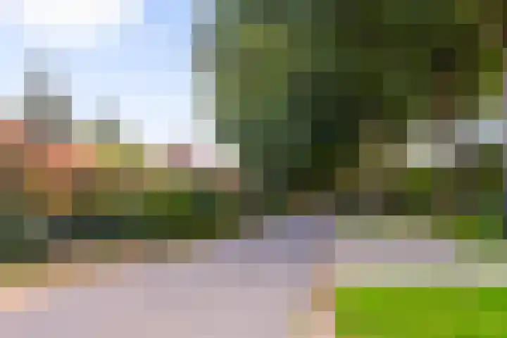 Monumentenweg 1 B Hoog-Keppel thumbnail 7