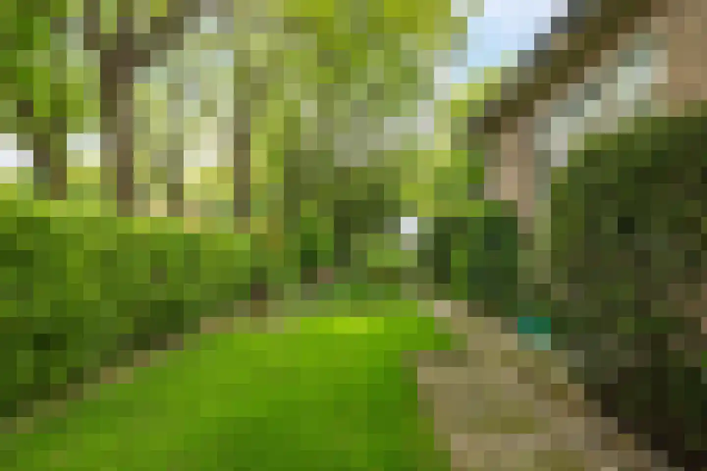 Monumentenweg 26 Hoog-Keppel thumbnail 36