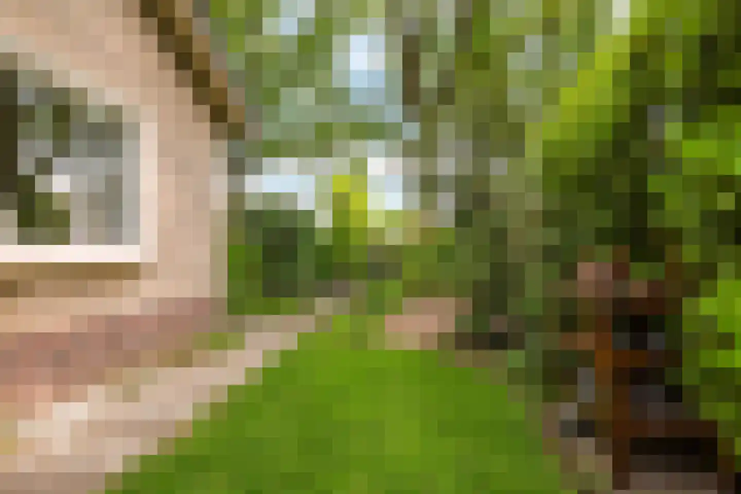 Monumentenweg 26 Hoog-Keppel thumbnail 38