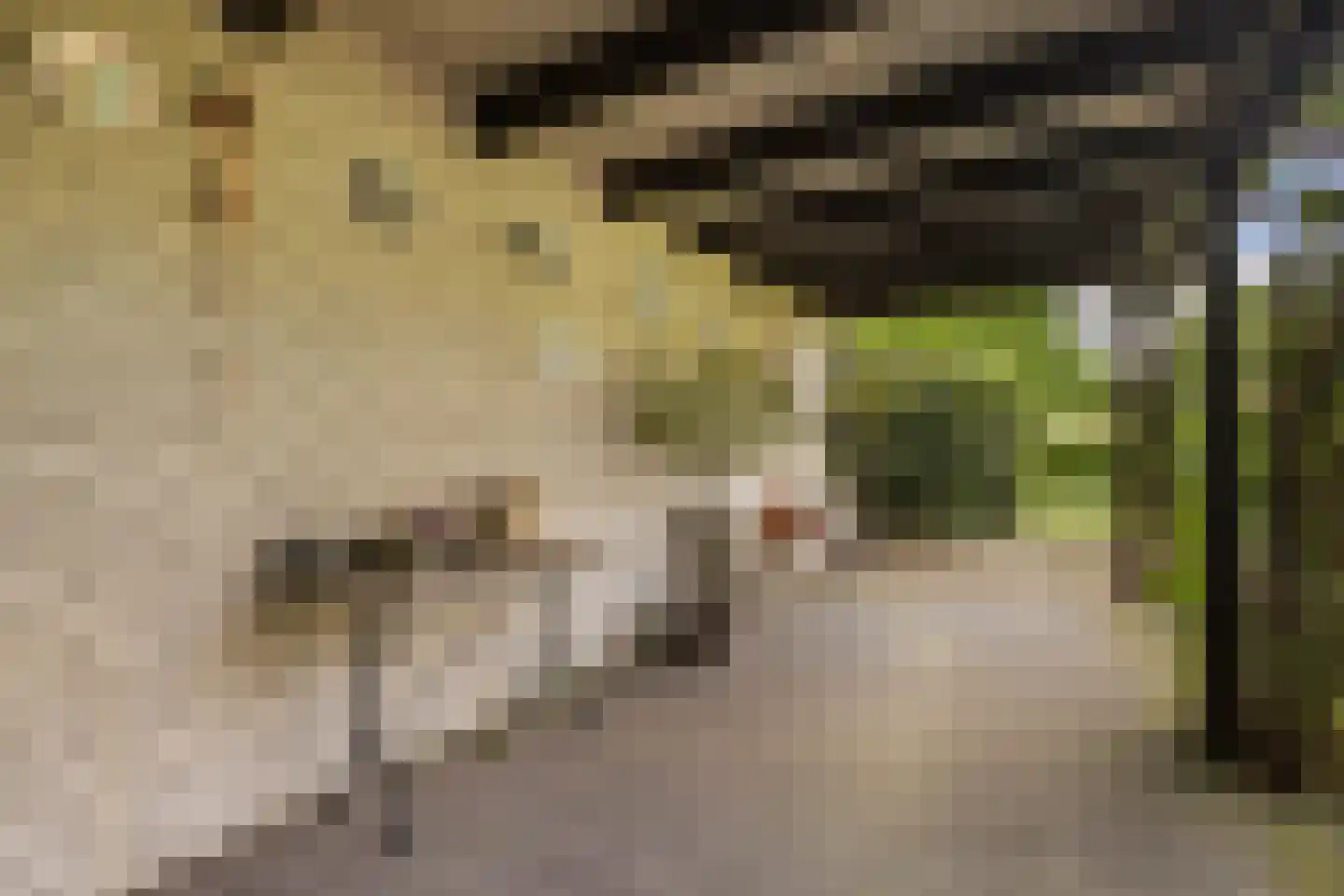 Monumentenweg 6 Hoog-Keppel thumbnail 37