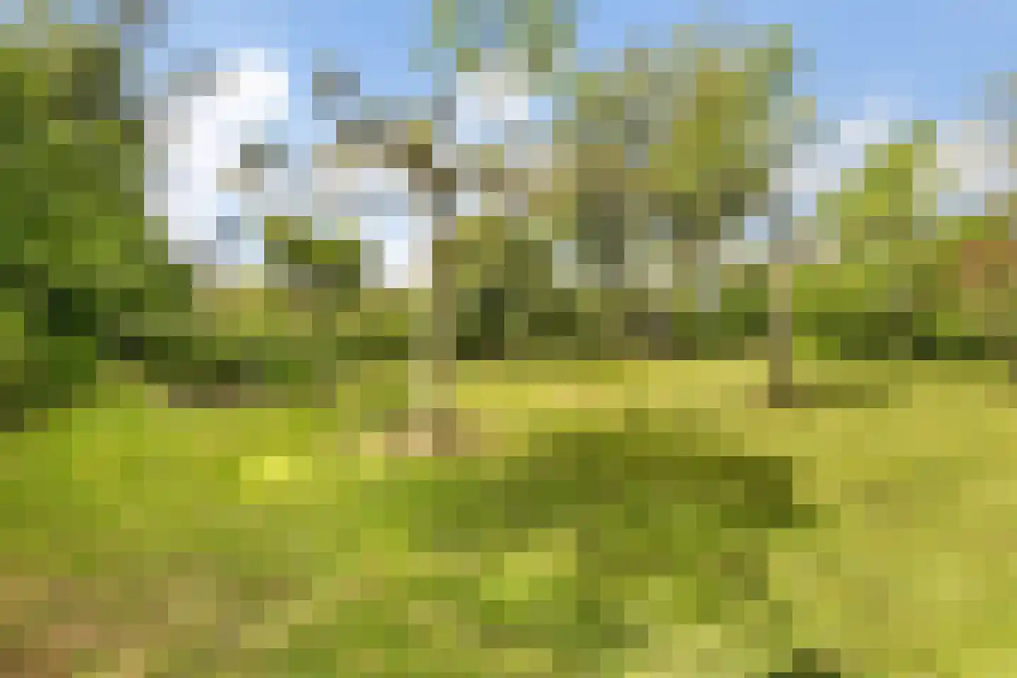 Monumentenweg 6 Hoog-Keppel thumbnail 42