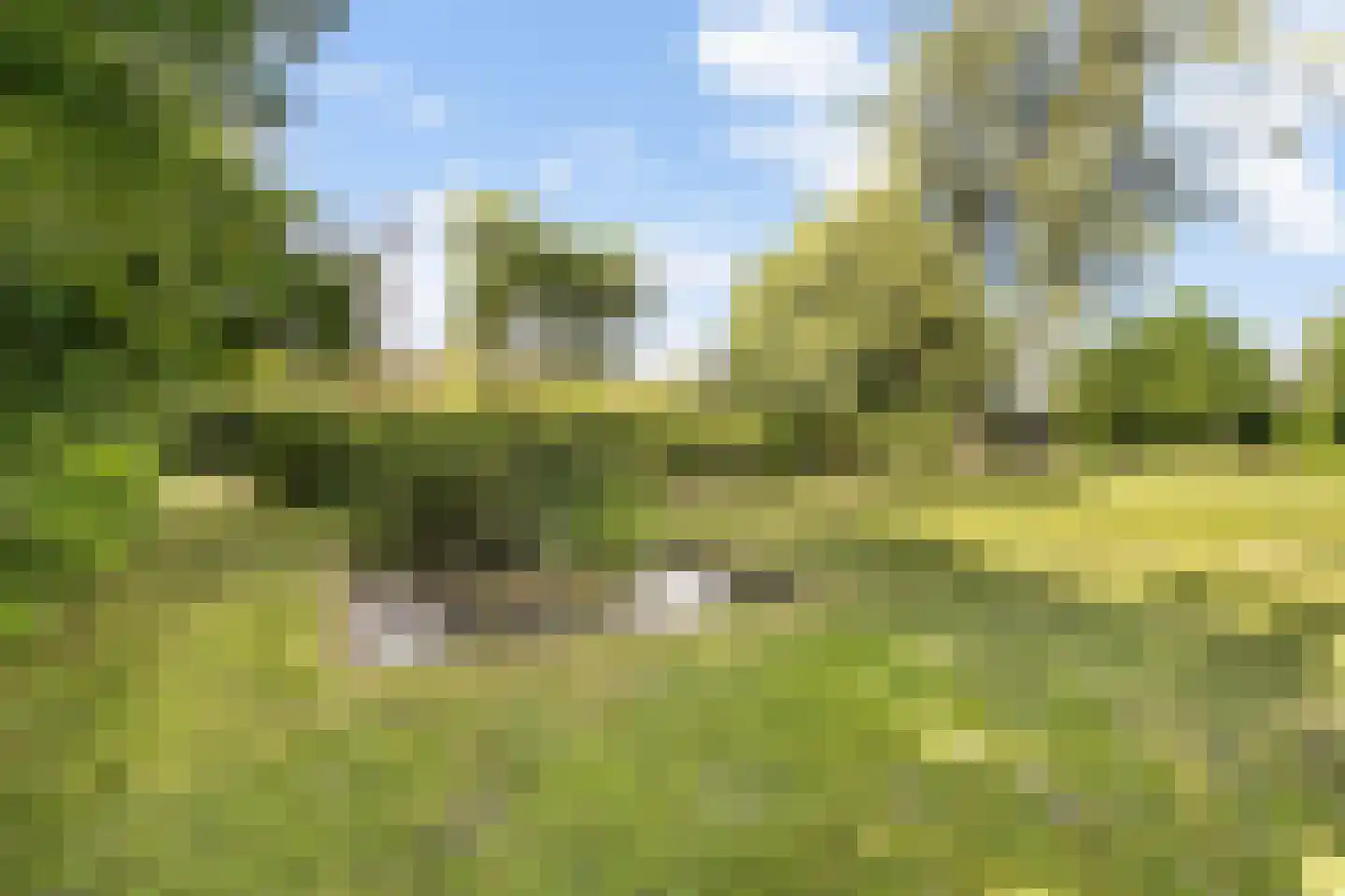 Monumentenweg 6 Hoog-Keppel thumbnail 43