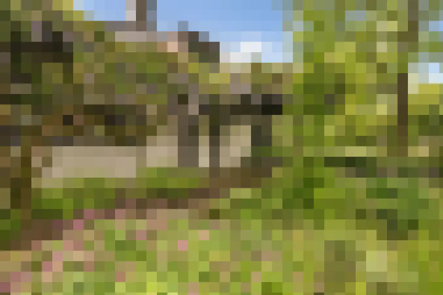 Monumentenweg 6 Hoog-Keppel thumbnail 47