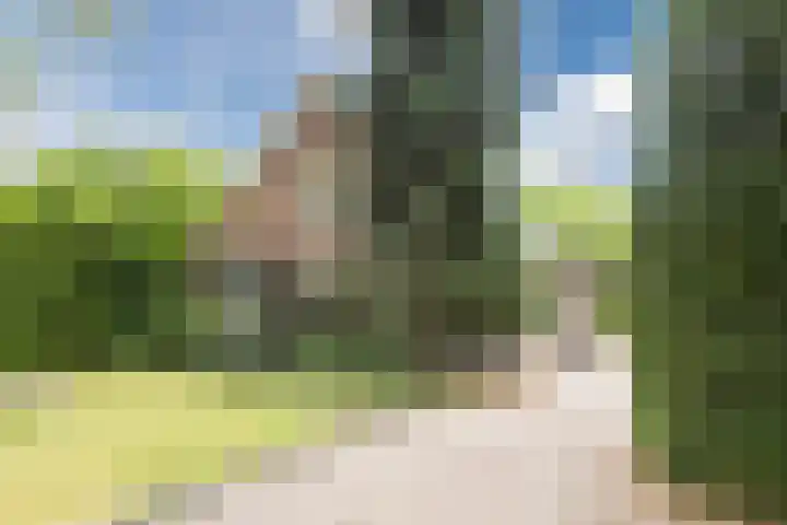 Monumentenweg 8 Hoog-Keppel thumbnail 5